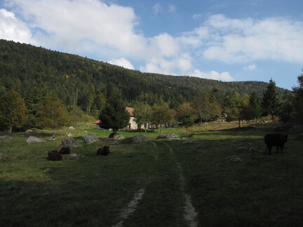 20080926 160723